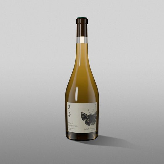 Souvignier Gris - Select 87 2024
